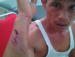 RUSDI BROMI SEKRETARIS PEKAT IB RIAU, DESAK KEPOLISIAN SEKTOR SINABOI TANGKAP PELAKU PENGANIAYAAN