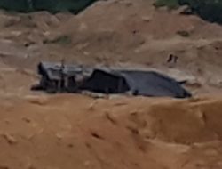 Aktifitas Tambang di Parit Enam Tak Tampak lagi.