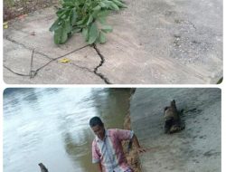 Longsor Tebing Sungai Kampar Ancam Rumah Warga Desa Peyasawan.