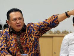Gerakan OPM Sudah melebihi Teroris, Bambang : Minta Kepada Panglima TNI dan Kapolri Kerahkan Pasukan Elit.