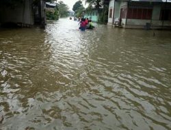 Selain Akses Jalan Lumpuh, Banjir Juga Rendam Sekolah di Desa Sendayan.