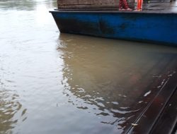 Terkena Banjir, Akses Desa Pulau Jambu Lumpuh. Kades : Harap Pemkab Kampar Berikan Pinjaman Perahu.