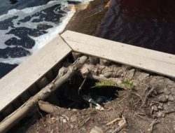 Pekerjaan Sekat Kanal di Desa Betung di Duga Asal Jadi