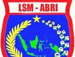 Apa Itu LSM ABRI ???