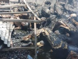 Komnas Perlindungan Anak Turut Berduka Atas Kebakaran di Langkat
