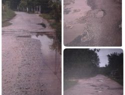 Jalan Banyak Berlubang, Warga Desa Naga Beralih Harapkan Bantuan Pemerintah