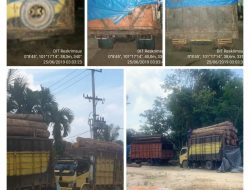 Oknum Sekdes Ludai Diduga Terlibat Perambahan Hutan, Kades : Saya Hanya Dengar Info Selayang