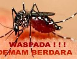 Muhammad Amin Sebut ” Saat Ini  Pekanbaru Belum Terkategori KLB DBD