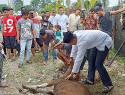 Kapolres Kampar Bersama Keluarganya  Sembelih Sendiri Hewan Qurbannya