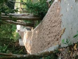 Terkesan Asal Jadi ?, Box Culvert Desa Ganting Damai Dikeluhkan Warga