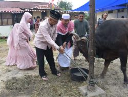 *Kapolresta Pekanbaru Serahkan Hewan Kurban dan Hadiri Proses Pemotongan Dua Puluh Ekor Hewan Kurban
