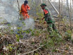 FPII Touna Minta Pelaku Pembakar Hutan Ditangkap