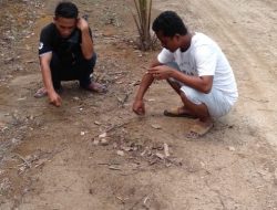 Tak Memiliki Surat Hibah, Pembukaan Badan Jalan Desa Silam Ditanami Pohon Sawit