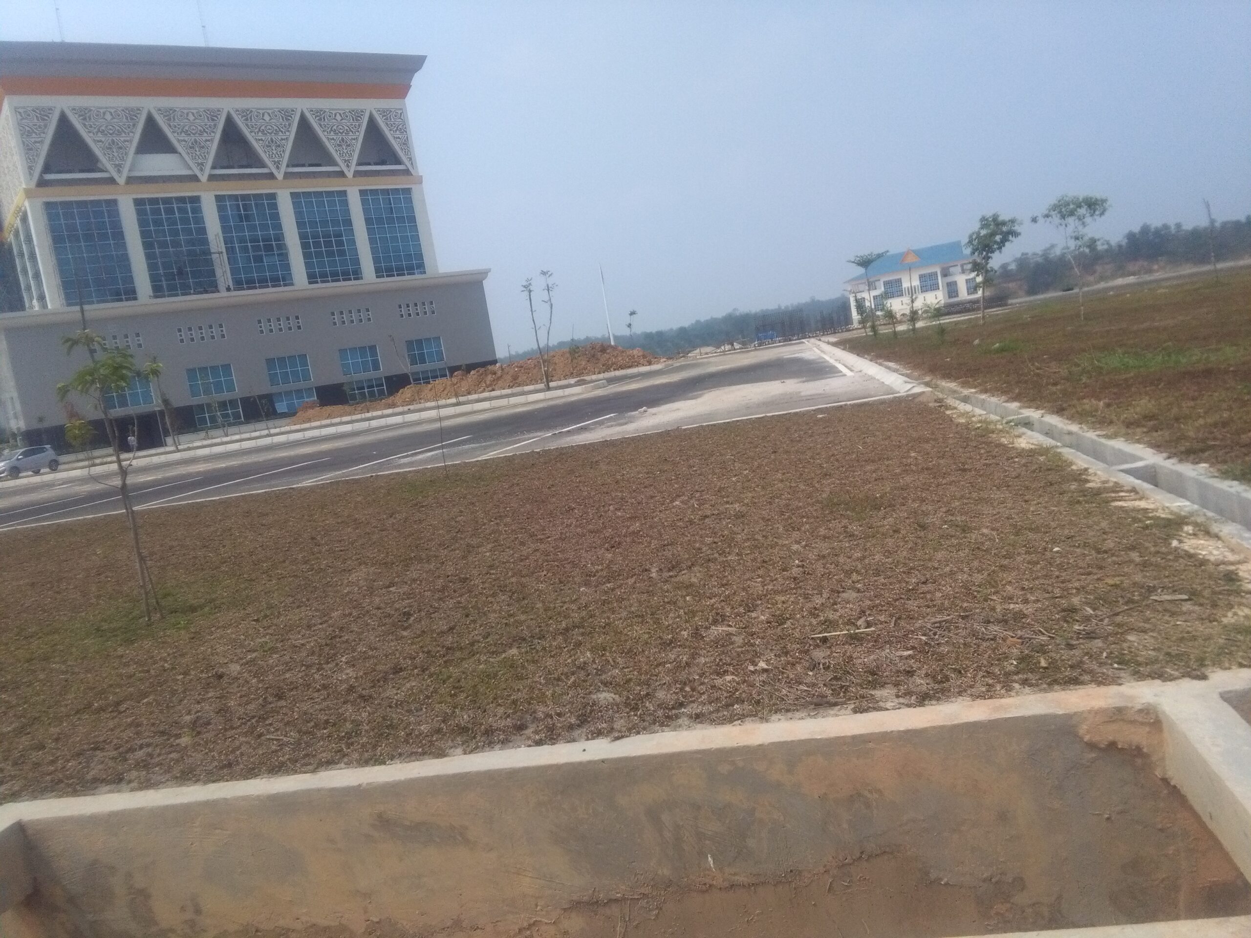 Terrkena Dampak Gizi Buruk Rumput Gajah Mini , Hidup Segan Mati Tak Mau