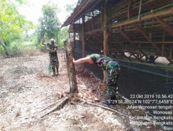 Koramil 01 Bengkalis Berpatroli Untuk Mensosialisasikan Karhutla .