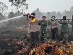 Tanggap Karhutla Kapolresta Pekanbaru Berama Dandim 0301 Pekanbaru Berjibaku Memadamkan Lahan 