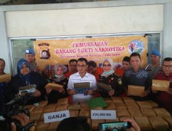 Polda Jambi Musnahkan Barang Bukti Ganja 230kg