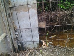 Proyek dan Tata Kelola Desa Kampung Dusun Pusaka Bermasalah, Warga Meradang