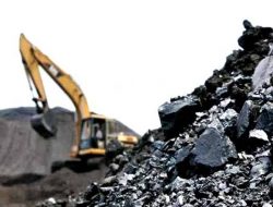 Tahun Depan, Produksi TBO Sawahlunto Ditargetkan 350 Ribu Ton
