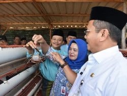 Desa Penaga Dapatkan Bantuan Alat Replikasi Untuk Budidaya Kepiting Soka