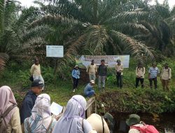 Perintis Jaya Jadi Tuan Rumah Untuk Bimtek IPG Meliputi Tiga Provinsi