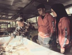 Budidaya Maggot, Inovasi Baru Desa Teluk Bakau