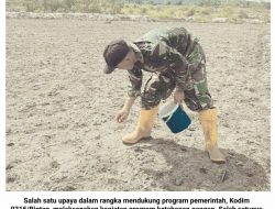 Dukung Program Pemerintah Dibidang Ketahanan Pangan, Kodim 0315/Bintan Tanam Jagung