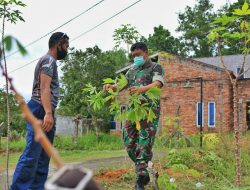 Lanud RHF Dukung Ketahanan Pangan Dengan Budidaya Singkong