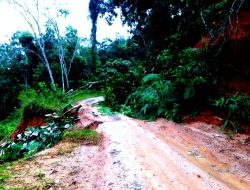 Bertahun-tahun, Warga Sumpur Kudus Bertaruh Nyawa di Bukik Lantiak