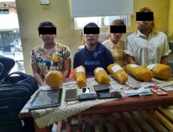 DITRESNARKOBA POLDA KEPRI Berhasil Ungkap Kasus Narkotika Jenis Daun Ganja Seberat 6.000 Gram