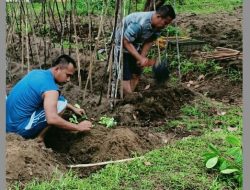 Dukung Ketahanan Pangan, Lanal Ranai bersama Kodim 0318/Natuna Olah Lahan Tidur