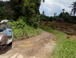 30 Tahun Tanpa Sentuhan, Jalan Nagari Pagadih Sebatas Dagangan Kampanye