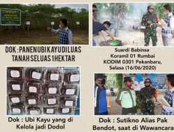 Ditengah Pandemi Covid-19, Dibawah Pembinaan Koramil 01 Rumbai Bersama Masyarakat Kelola Ubi Kayu Menjadi Dodol