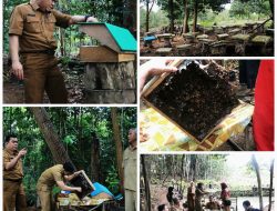 Kadis PMD Bintan Saksikan Panen Madu Kelut di Desa Lancang Kuning