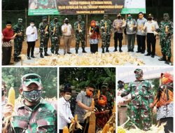 Kodim 0315/Bintan bersama FKPD Panen Jagung Demplot