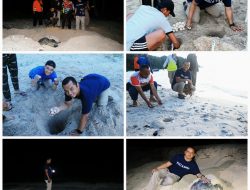 Kapolres Anambas bersama Stakeholder Kunjungi Penangkaran Penyu di Pulau Pahat