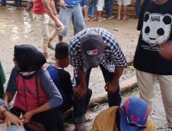 Gawat….! Judi Sabung Ayam dan Batu Tiga Masih Berjalan di Kabupaten Sula