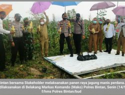 Polres Bintan bersama Stakeholder Panen Perdana Jagung Manis