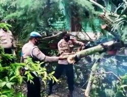 Video: Personil Polsek Tanjungpinang Barat Evakuasi Pohon Tumbang di Gang Kerkop