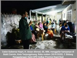 Bukan Hanya Kepri, Jembatan Batam-Bintan Juga Mimpi Indonesia