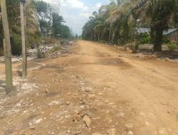 Diduga Tidak Transparan, Perkerasan Jalan Desa Jati Mulyo Jadi Sorotan
