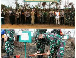 Kodim 0315/Bintan Tanam 5500 Bibit Pohon di Desa Lancang Kuning