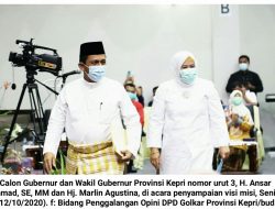 Ini Program Ansar-Marlin untuk Kabupaten dan Kota di Kepri