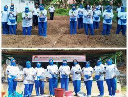 Program Kerja Sie Budaya : Korcab IV DJA I Tanam Sayur Mayur dan Panen Ikan