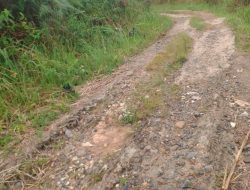 Kampung Limau Abuang belum Merdeka