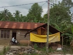 Miris….Terbentang Kabel Listrik Teganggan Tinggi Milik PLN  Gunakan Penyanggah Kayu dan Pohon   