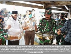 Lantamal IV Panen Raya Ikan Kerapu di Kampung Bahari Nusantara