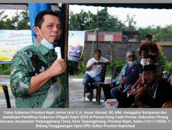 Pariwisata Kepri Terpukul, Ini Langkah Ansar Ahmad untuk Memulihkannya