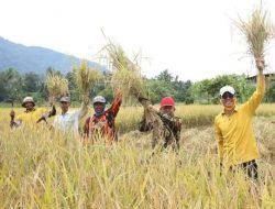Peduli Petani, SAFARI : 10% Anggaran untuk Pertanian