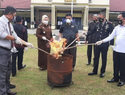 Kapolres Kampar Pimpin Pemusnahan Barang Bukti 125 Gram Shabu dan 1 Kg Lebih Daun Ganja Kering